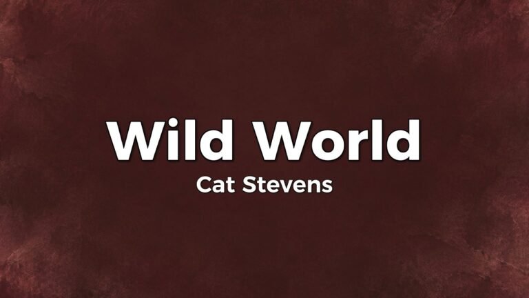 Cat Stevens – Wild World Lyrics Video (1970)