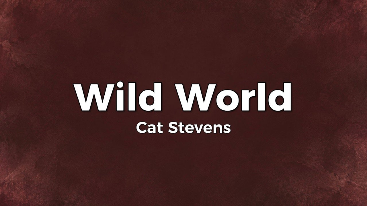 Cat Stevens – Wild World Lyrics Video (1970)